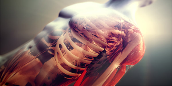 Webcast: The science of protein